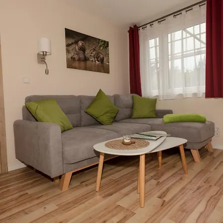 Biber Im Sternenpark