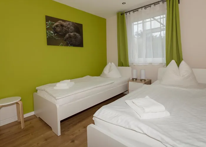 Daire Biber Im Sternenpark