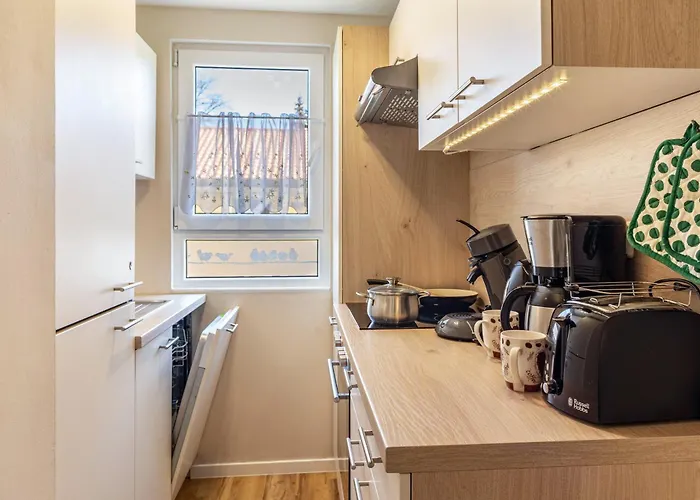 Biber Im Sternenpark